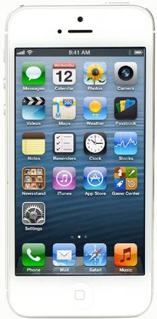 Смартфон Apple iPhone 5 32Gb White & Silver - Алексин
